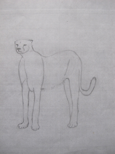 Dessin lin&eacute;aire